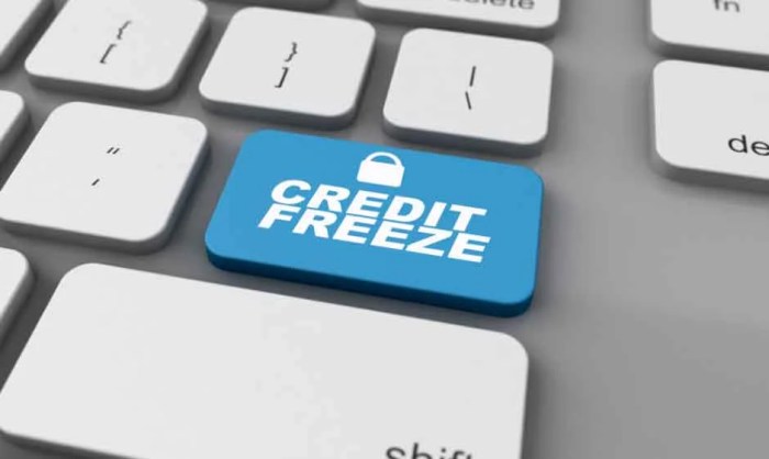 Credit freeze